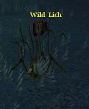 Wild Lich